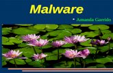 Malware amanda