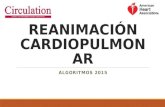 Reanimación cardiopulmonar - RCP - GENERALIDADES