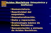 A nucleicos