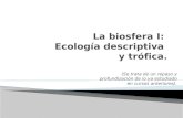 La biosfera I. Ecología descriptiva y trófica.