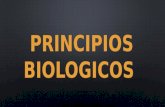 Principios biologicos operatoria