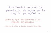 Problemáticas con la provisión de agua en la region patagonica