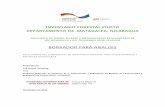 Metodologia inventario piloto matagalpa - Nicaragua - SudAustral