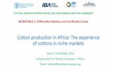 Producción de algodón en Africa: experiencia de algodones en nichos de Mercado – Silvere Tovignan