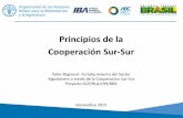 Principios de la Cooperación Sur-Sur- Presentación Dina López, Oficial de Cooperación Sur-Sur, FAORLC.