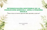 Intensificación sostenible de la producción agrícola  (ISPA) a pequeña escala  - Presentación Tania Santivañez, Oficial de Protección Vegetal de FAORLC.