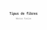 Tipus de fibres (Tecnologia)