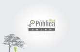 Encuesta Plaza Pública Cadem N° 100