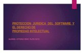 Proteccion juridica del software y el derecho de