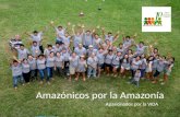 Alicia Medina Revilla, Asociación Amazónicos por la Amazonía, Perú