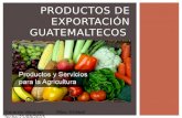 Productos de exportación guatemaltecos