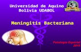 meningitis bacteriana aguda