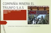 Compañía minera el triunfo s.a.s higiene y seguridad industrial