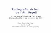 Radiografia virtual de l'Alt Urgell