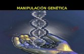 Manipulacion genetica