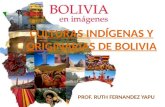Culturas indígenas y originarias de Bolivia
