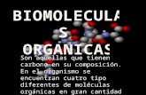 Biomoleculas organicas elizabeth ascuntar