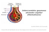 Intercambio gaseoso alveolo capilar (hematosis)