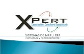 Sistemas de MRP / ERP