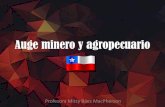 Auge minero y agropecuario Chile s.XIX