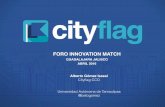 Cityflag: Plataforma para Android, iOs y web app para reportar temas de infraestructura con un enfoque social