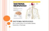 Sistema nervioso actual