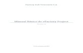 Manual Básico de eFactory Project v1.0