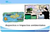 Presentacion: Aspectos e impactos ambientales