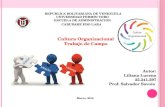 Trabajo de campo cultura organizacional