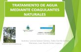 Tratamiento de agua con coagulantes naturales