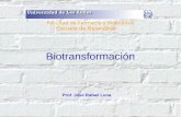 Biotransformación de las drogas