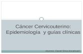Cancer cervicouterino y guias clinicas