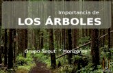 IMPORTANCIA DE LOS ARBOLES
