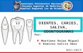 Anatomìa, Embriologìa Dientes. Caries Dental, Saliva, Glandulas Salivales y Odontograma