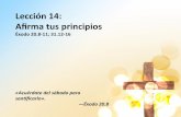 Lección 14 - Afirma tus principios