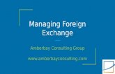 Amberbay Consulting Presentation