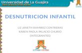 Presentacion desnutricion infantil