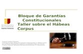 ENJ 200 - Bloque de Garantías Constitucionales II: Habeas Corpus