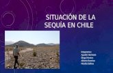 Los Paneles Solares: Respuesta a la Sequía en Chile