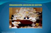 Organizacion de archivos identificacion de unidades de conservacion