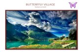 Butterfly village 25.03.17