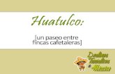 Huatulco, un paseo entre fincas cafetaleras