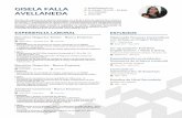 CV Gisela Falla - En.17 vs.1