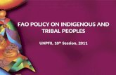 Policy presentation UNPFII 2011