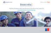 Diccionario competencias-liceos-tp-digital