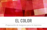 Proyecto mínimo el_color_josé luis gantes mora