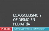 Loxoscelismo y ofidismo en pediatria