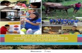 (Español) RUTA DE APRENDIZAJE: “Estrategias e innovaciones para la inclusión de los y las jóvenes rurales como protagonistas del desarrollo de sus territorios”