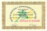 Certificado de Reconocimiento Presidente (AEI) 2003