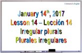 14. Irregular plurals - Plurales irregulares